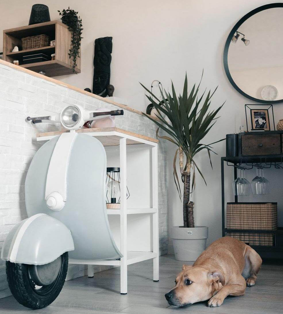 Dog lying on the floor in a room with a scooter, shelves, and plants.